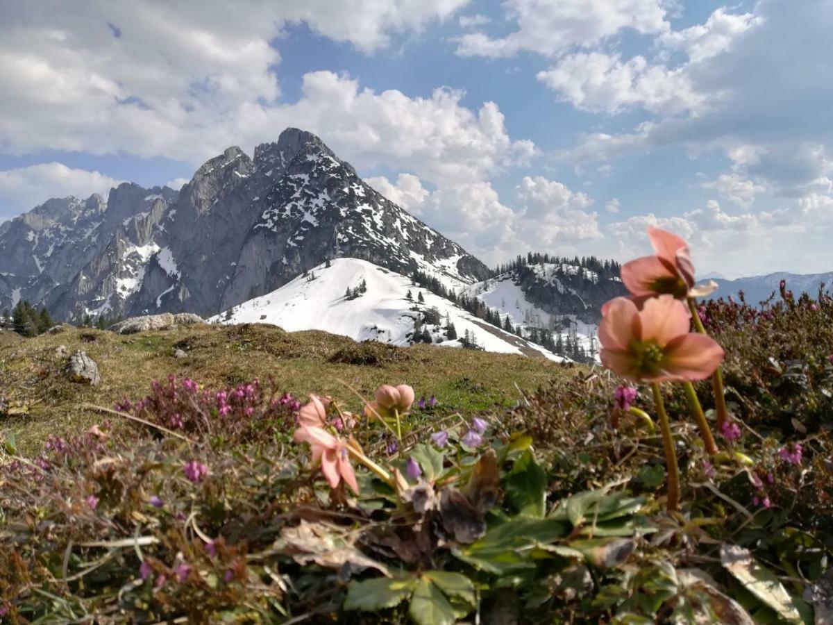 Helle Ferienwohnung Saunahaus Annaberg im Lammertal Esterno foto